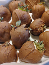 Load image into Gallery viewer, Chocolate Covered Fruits